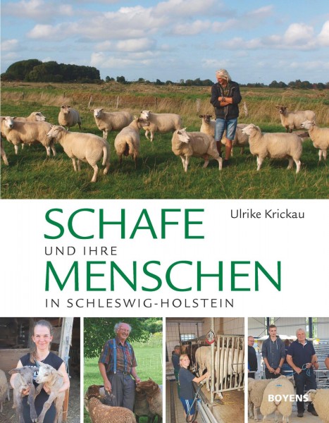 Schafe und ihre Menschen in Schleswig-Holstein