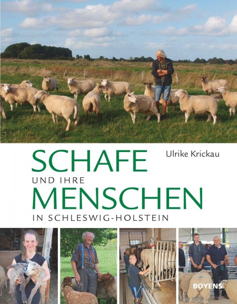 Schafe und ihre Menschen in Schleswig-Holstein