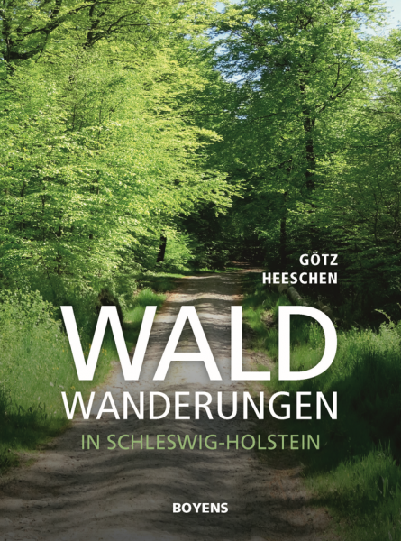 Waldwanderung in Schleswig-Holstein