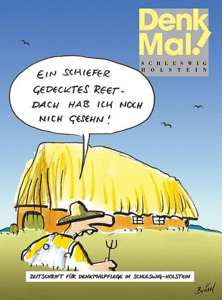 Denkmal. Zeitschrift für Denkmalpflege in Schleswig-Holstein